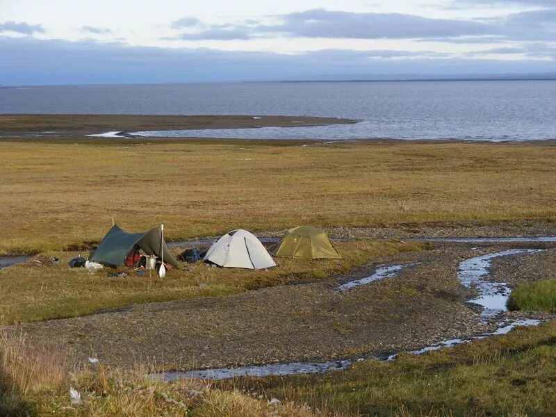 2 озеро на полуострове таймыр. Полуостров Таймыр. Полуостров Таймыр Дудинка. Озеро Таймыр. Таймыр фото.