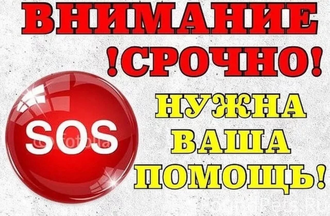 Вам нужна помощь. Срочно нужна помощь. нужна помощь срочно помогите. срочно сос. сос нужна помощь.