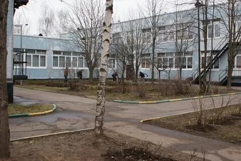 Т б сад
