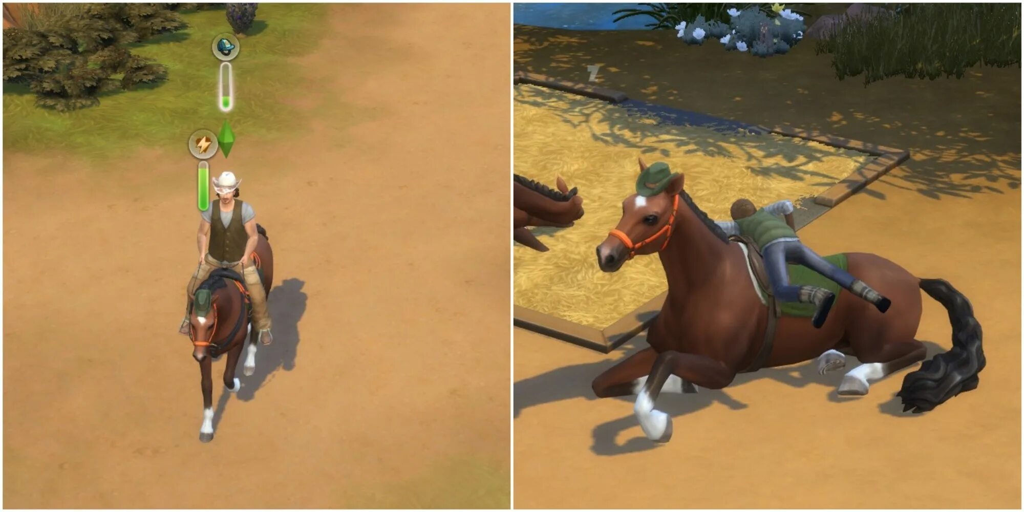 Симс 4 верховая езда. SIMS 4 Horse Ranch. Симс 4 лошади. Симс 4 дополнение лошади. Симс 4 Конное ранчо.