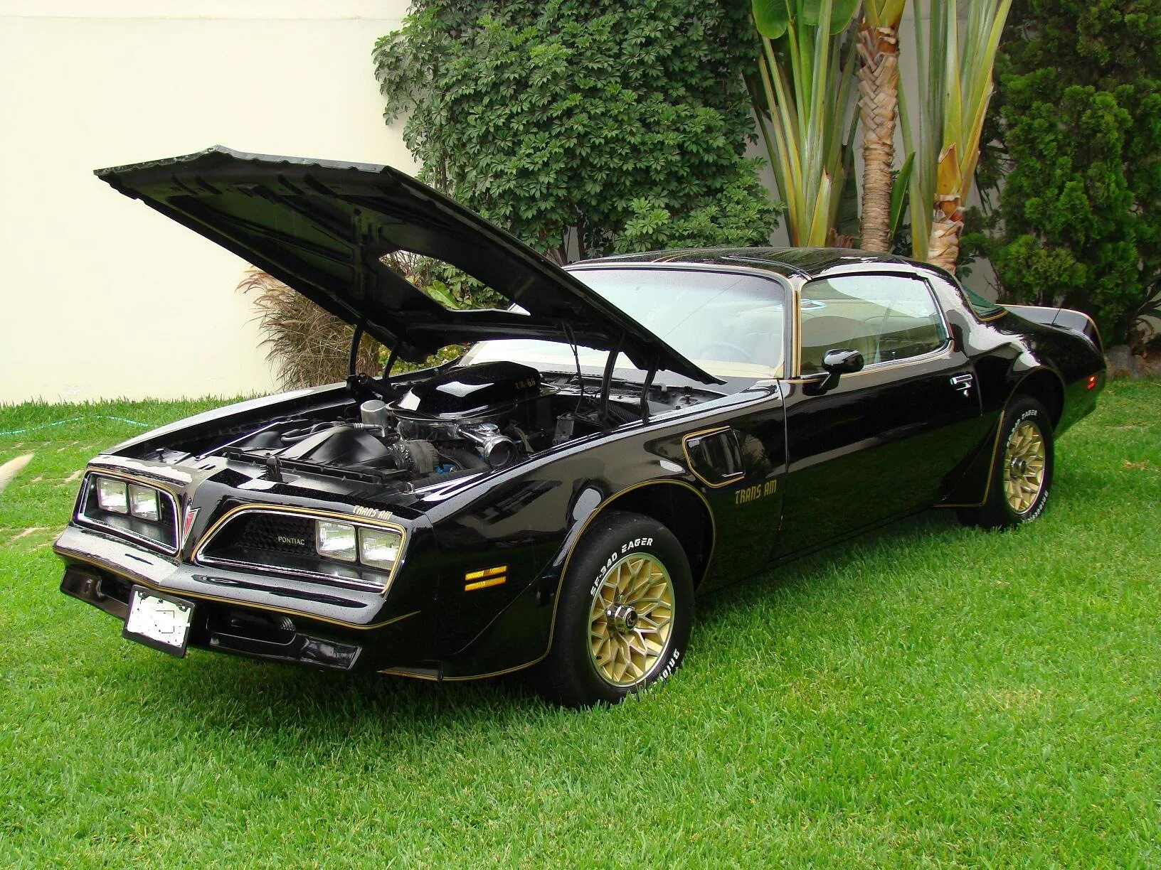 Понтиак фаербёрд 1979. Pontiac trans am 1978. Машина phoenix. Машина phoenix. Понтиак феникс 1970.