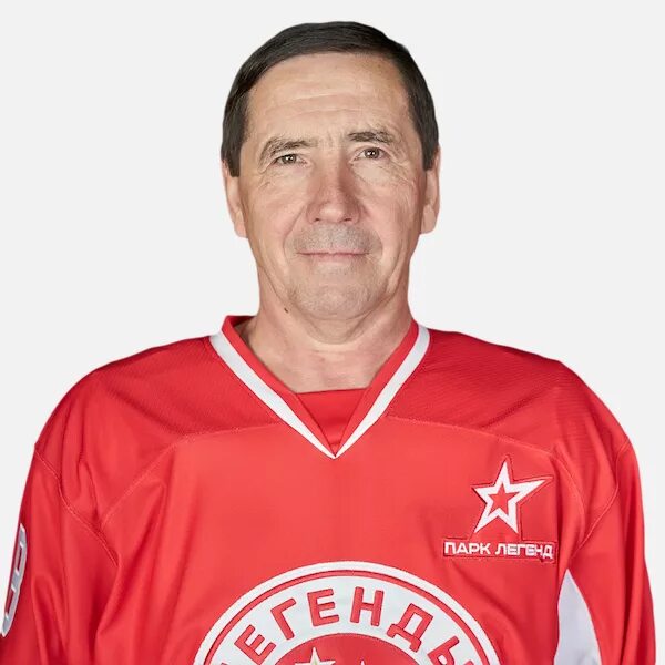 вячеслав войнов хоккеист. голиков александр николаевич хоккеист. нефедов илья хоккей. иржи новак хоккеист. голик хоккеист.