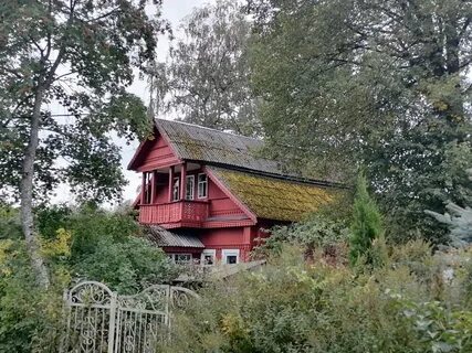 Погода в лампово