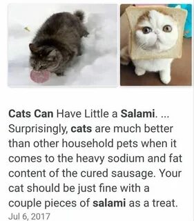 My sister has a cat