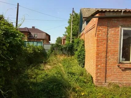 Елизаветинская 3