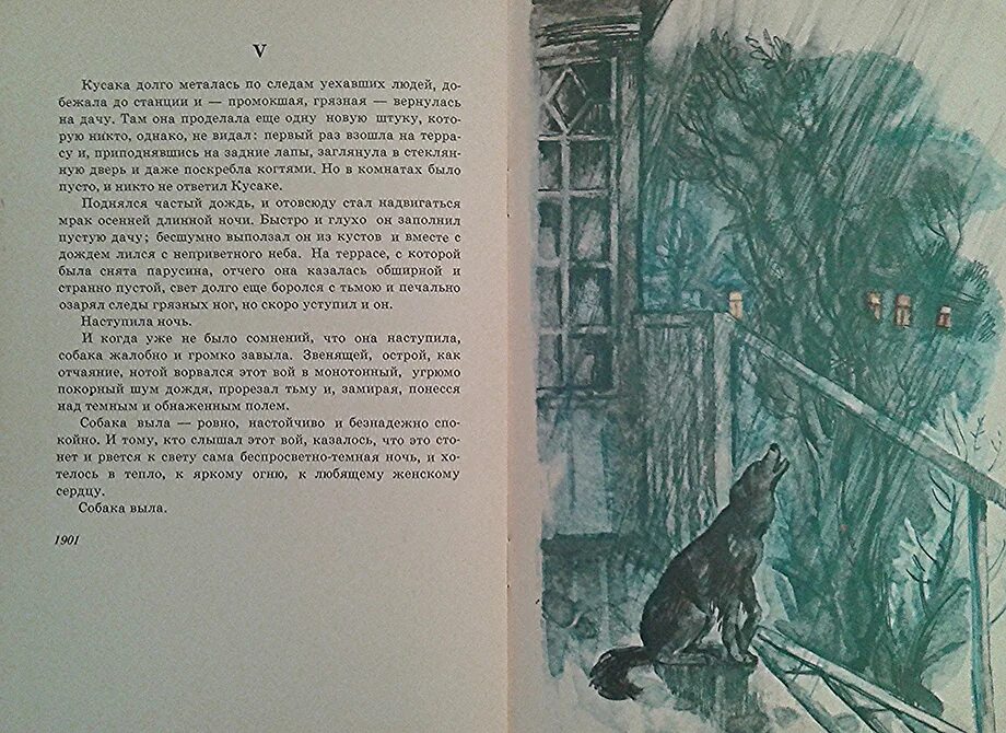 Кусака краткое содержание 5 класс. Л Н Андреев кусака. Андреев кусака книга.