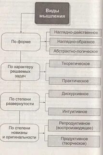 Функции мышления