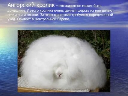 Необычный доклад