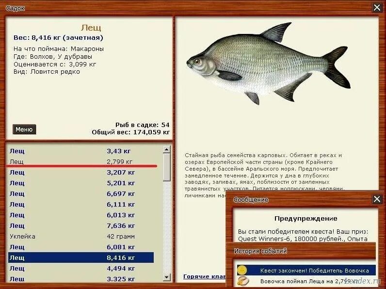 рыбалка 3 волхов. рыбалка 3 волхов. русская рыбалка 3 киржач. рыбалка 3 волхов. русская рыбалка волхов турнир золотая 3.