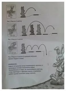 Кролики и норы