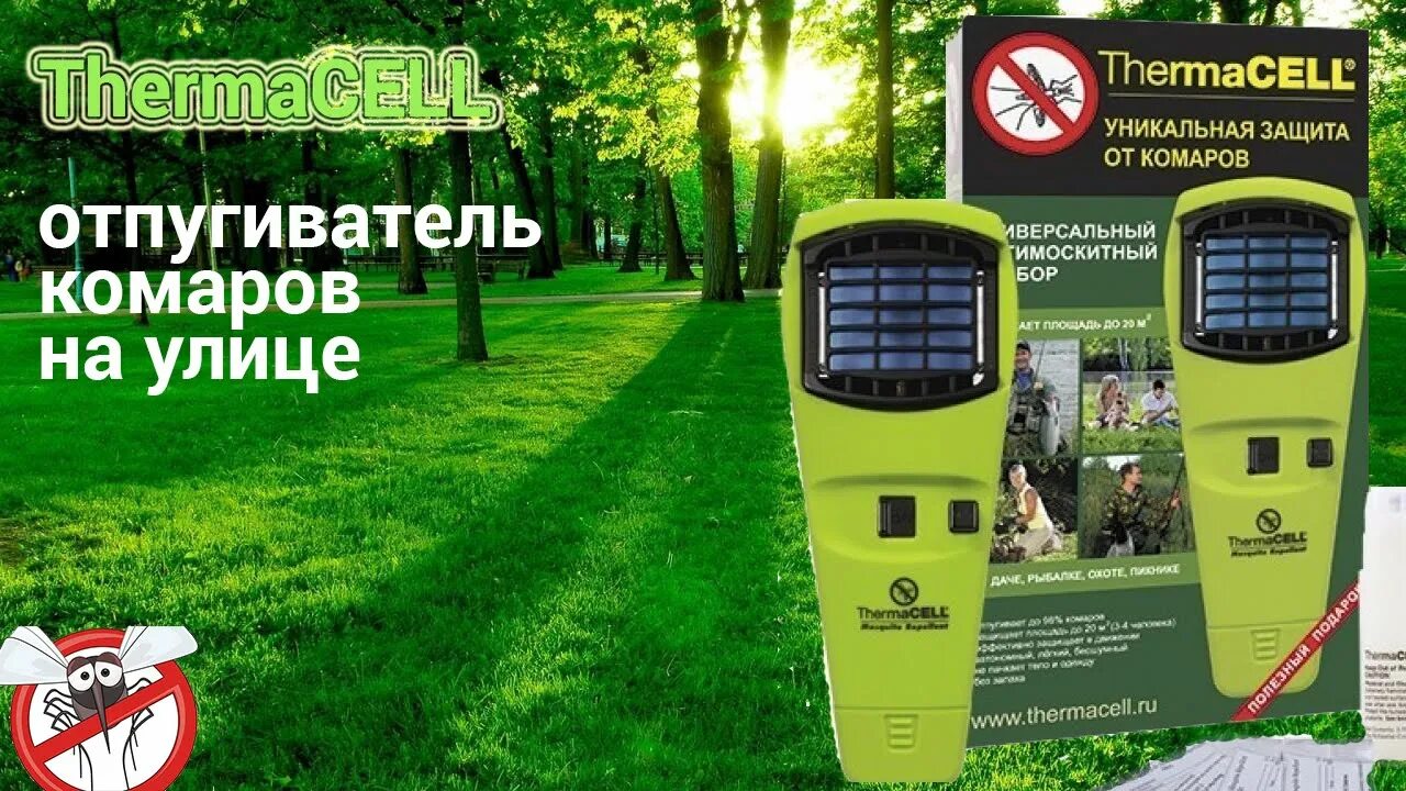 Как отпугнуть мошек. Как отпугнуть мошек
