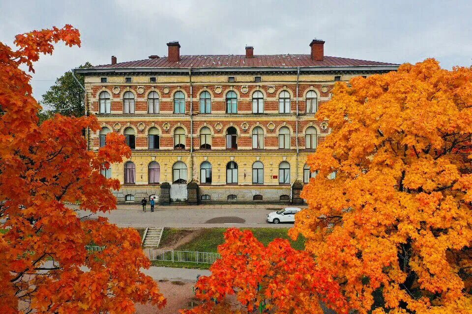 крыша школы 1 выборг. седьмая школа выборг. выборг школа 7 старое здание. школа 7 выборг. директор школы 7 выборг.