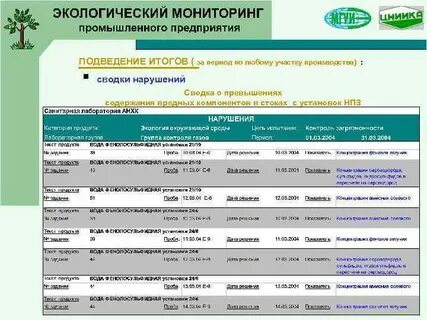 Программа экологической организации