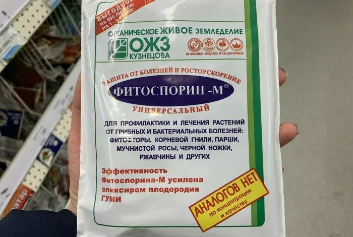 Раствор фитоспорина можно хранить