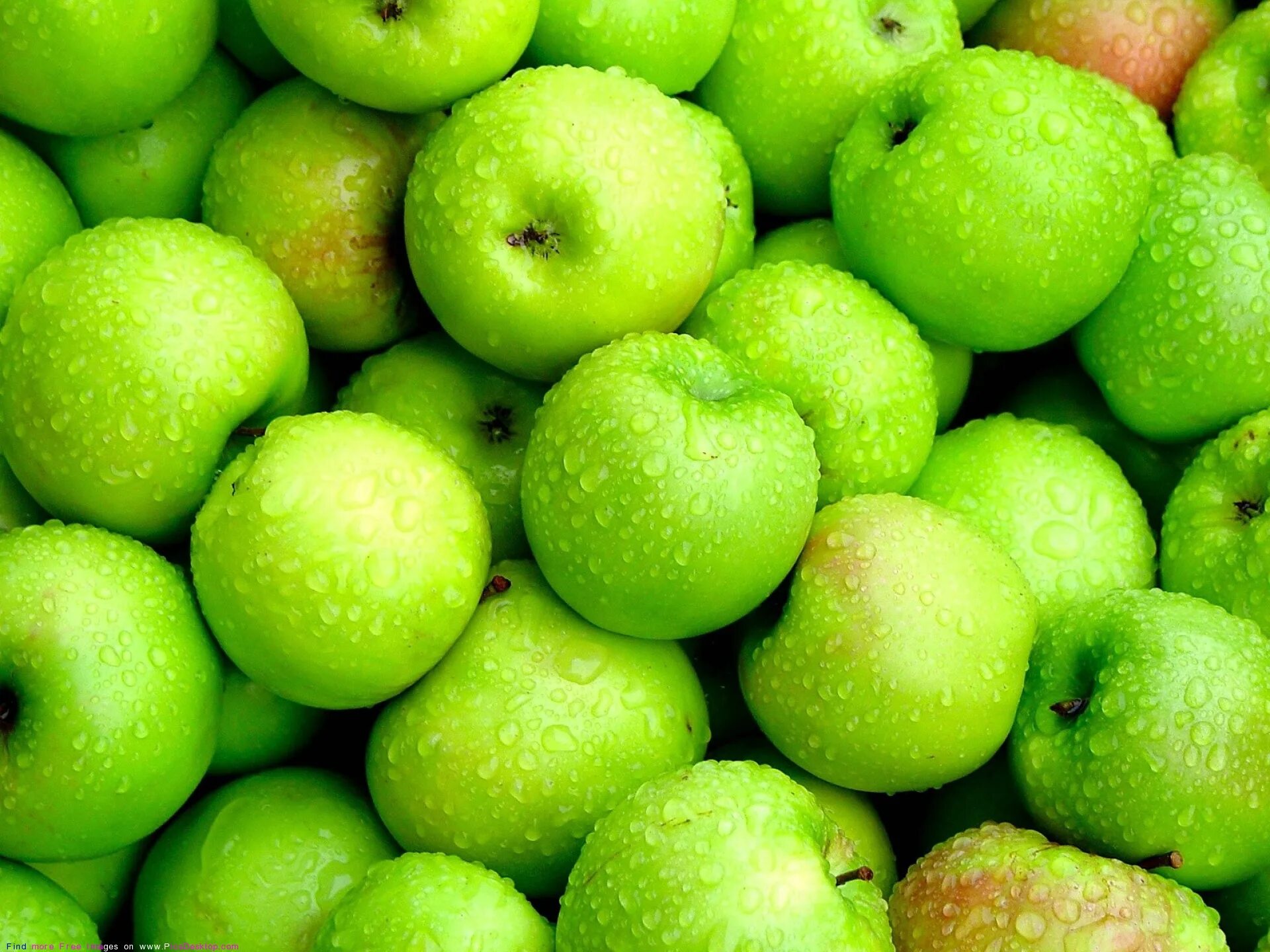 Яблоко плодовый. Яблоки Грин Грин. Грин Эппл Green Apple. Яблоки Гала зеленые. Сочное яблоко.