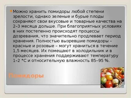 Сколько дней созревают помидоры