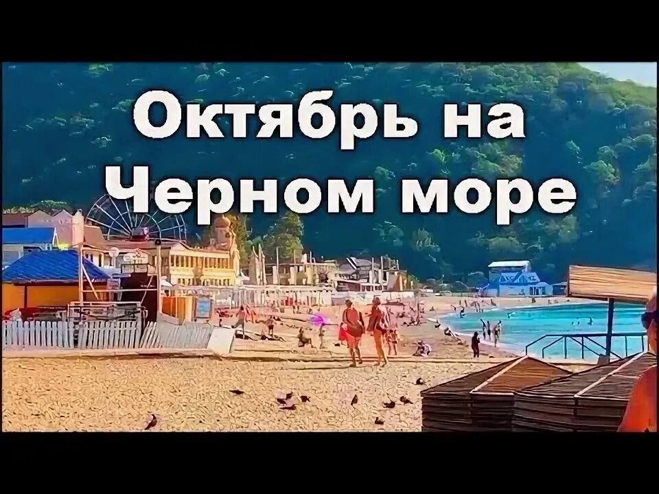 Погода в архипо осиповке температура воды. Вода в Архипке. Температура воды черное море Архипо Осиповка. Архипо-Осиповка температура воды. Архипо-Осиповка температура воды в море сейчас.