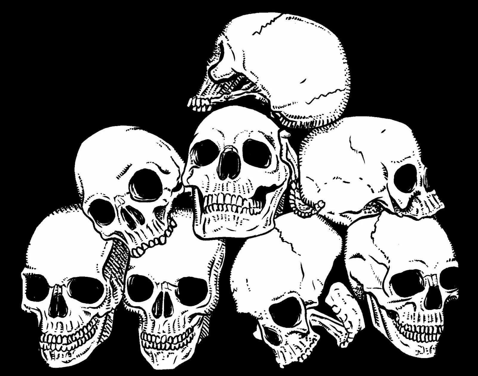Череп скрыть. Череп арт черно белый. белый череп. череп на черном фоне. череп с узорами.