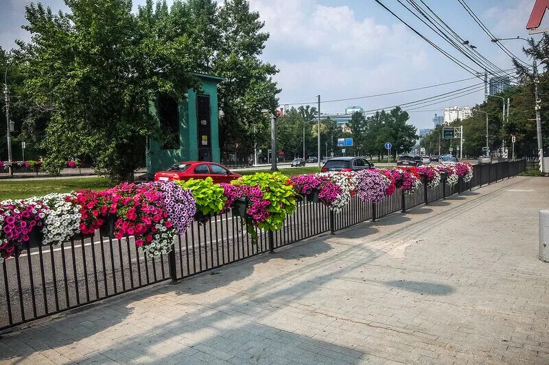 Цветы пл. Ограда с цветами и мощением. Цветы на оградах в городах. Спартаковская сквер цветочный.