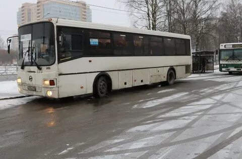 565 автобус кировск
