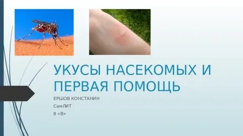 Первая помощь насекомого