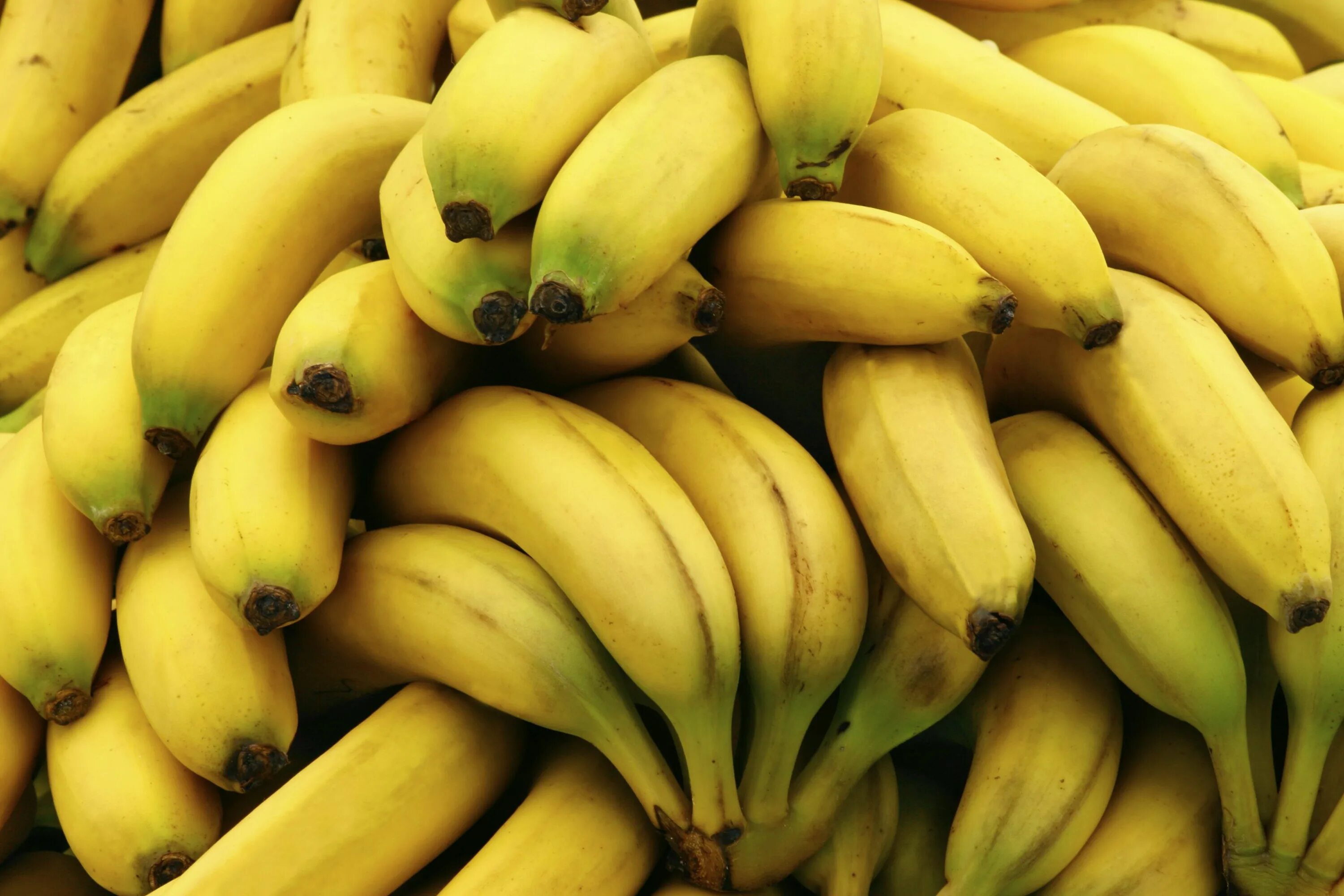 Где можно купит банан. Банан. Эквадор экспорт бананов. Десертный банан. Сорт банана Эквадор.