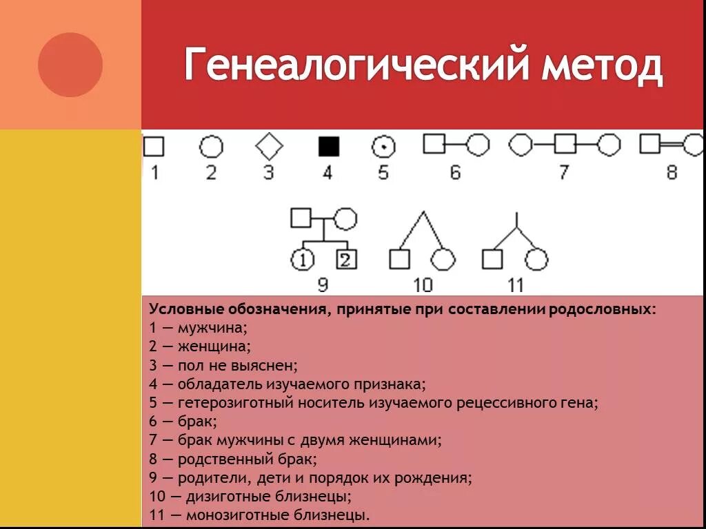 Условные обозначения в генеалогическом древе