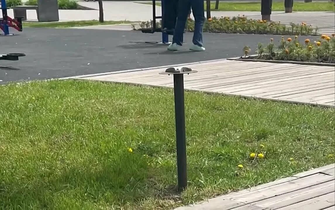 Фотоохота на животных. Ручной бобер. Бобровая струя. Квадроцикл в прыжке. Плотина бобра.