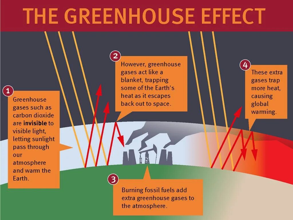 Greenhouse Effect. What is Greenhouse Effect. Greenhouse Effect and Global warming. Greenhouse Effect causes.