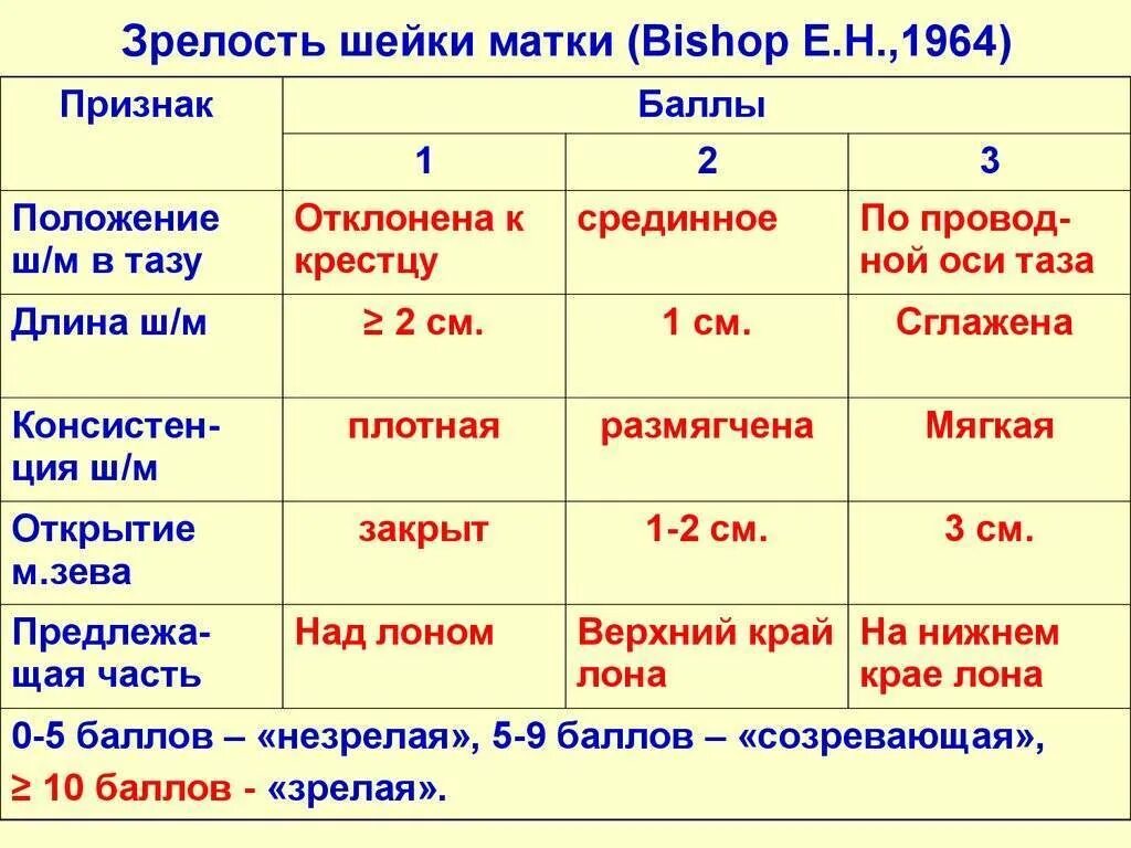 Раскрытие 2 пальца через сколько роды. Степень зрелости шейки матки перед родами 2-3 степень. Степень зрелости шейки матки перед родами. Оценка зрелости шейки матки. Бишоп степень зрелости шейки матки.