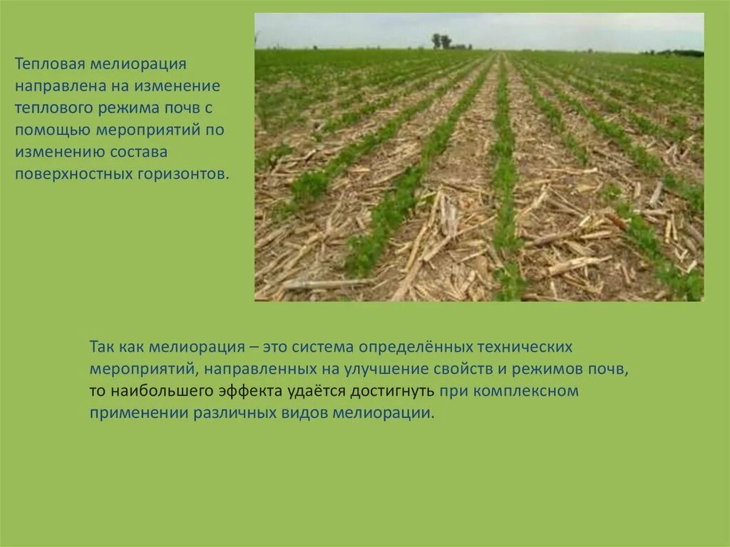 Как вы думаете мелиорация коренным образом изменяет. Техническая мелиорация грунтов. мелиорация засоленных почв презентация. мелиорация каштановых почв. мелиорация земель плюсы и минусы.