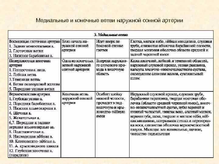 Анастомозы наружной сонной. Ветви наружной сонной артерии таблица. наружная сонная артерия таблица. наружная сонная артерия анатомия таблица. конечные ветви наружной сонной артерии.