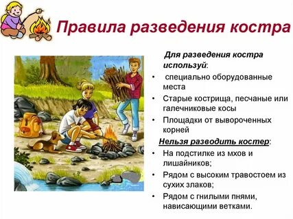 Правила прои