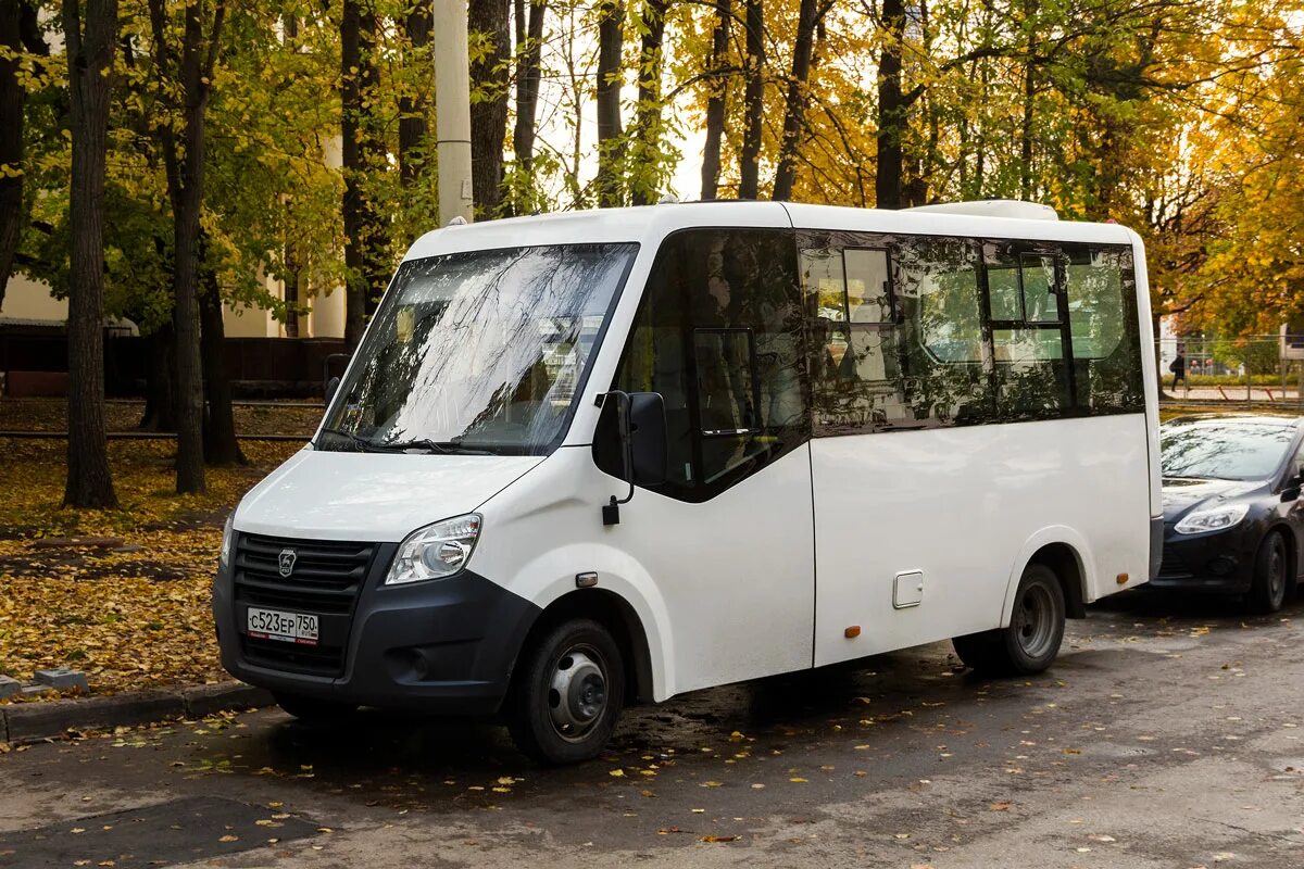 Ленинградская область, ГАЗ-A65R52 Next № В 767 ХР 47 - Фото - Автобусный транспо