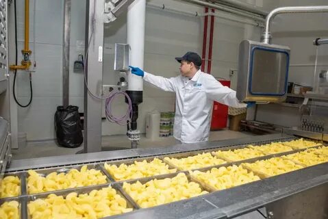 Технология переработки овощи