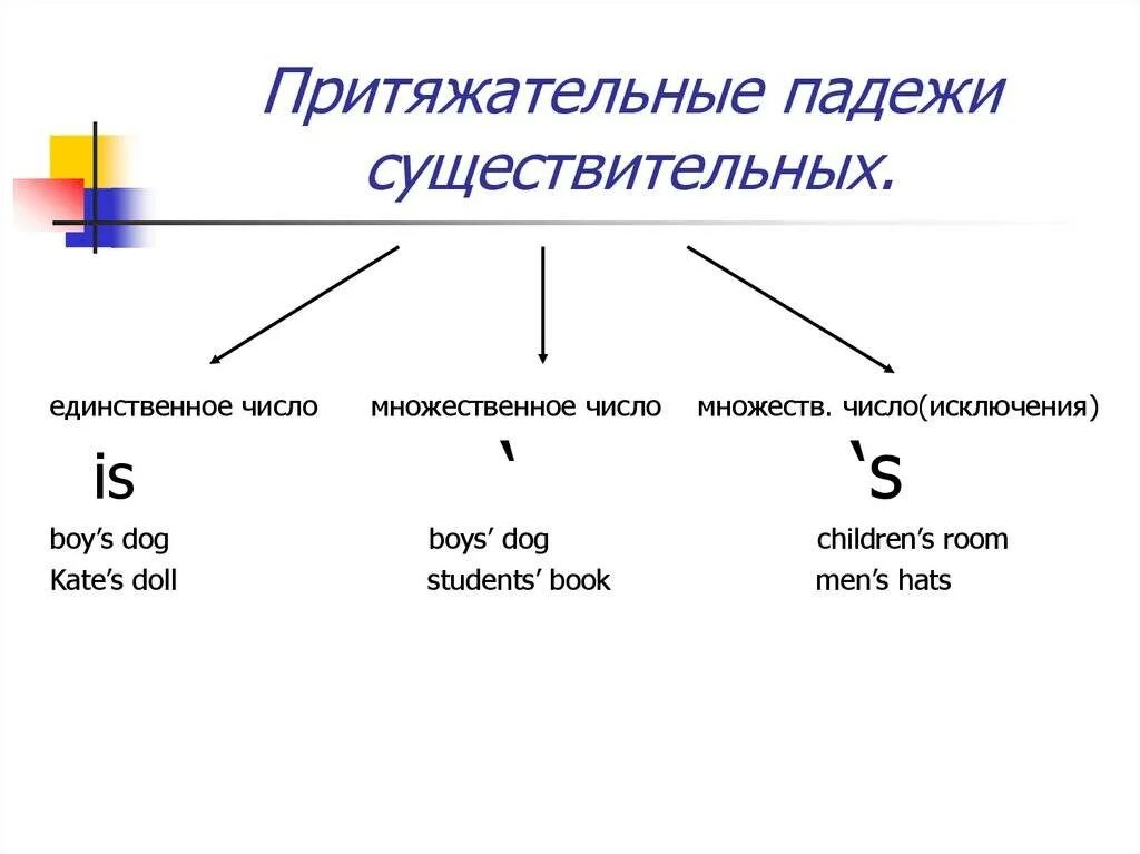 Wife во множественном. Имя существительное притяжательный падеж в английском языке. Притяжательный падеж существительных в английском языке 2 класс. Притяжательный падеж в английском языке множественное число. Англ притяжательный падеж имен существительных.