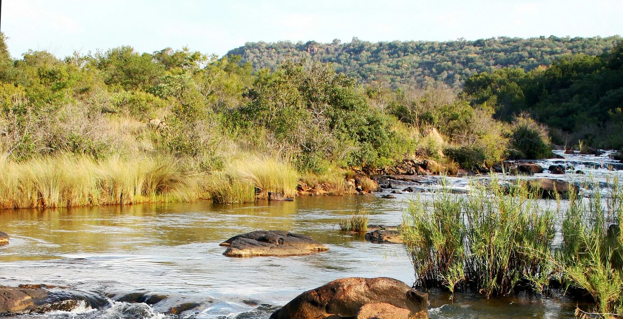 Африка "река Мано". Саванна (река). Африканская Саванна озеро. Лимпопо река в Африке. Africa river