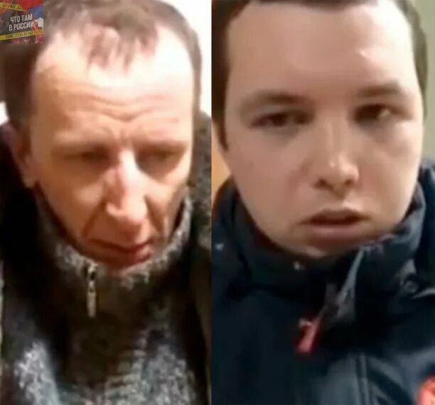Насилие 5