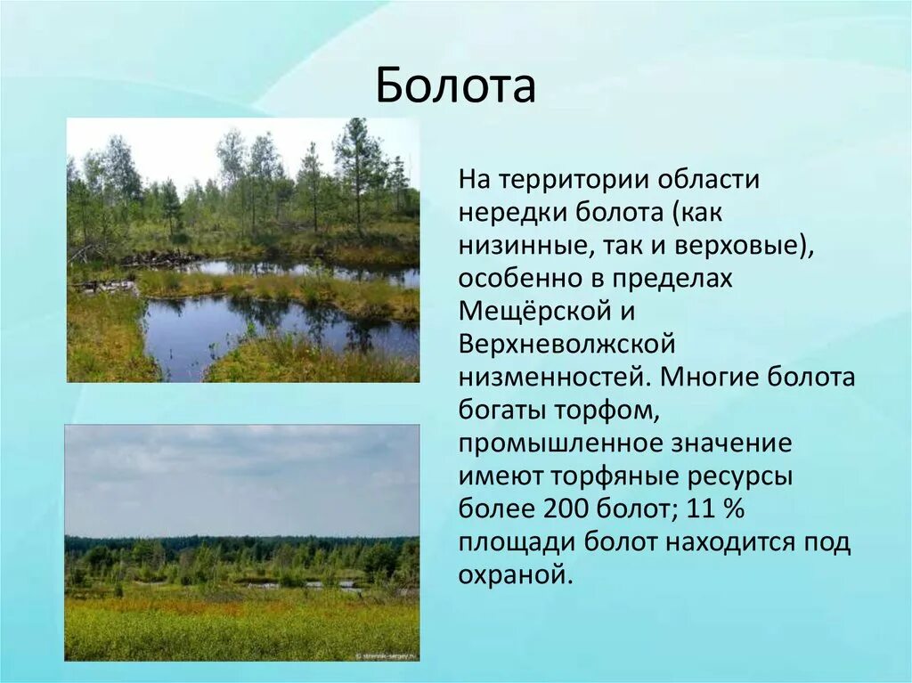 Территории болот в россии. Болота презентация. Болота доклад. Доклад про болото. Болота это в географии.