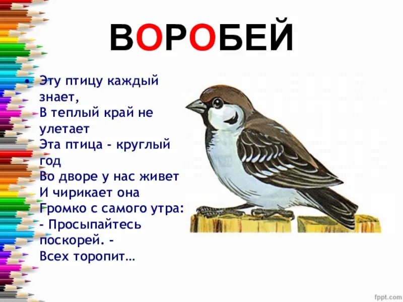 Составь слова ворона. Загадка про воробья. Стих Воробей. Воробей 1 класс. Воробей словарное слово.