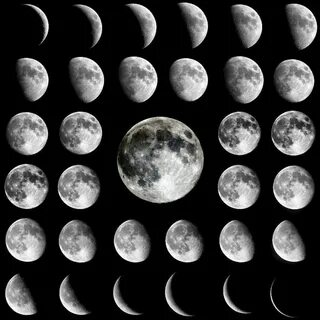 Laris moon
