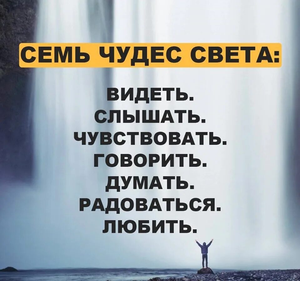 Семь чудес света видеть слышать чувствовать говорить думать. Семь чудес света видеть слышать. Чудеса света в человеке видеть слышать чувствовать. Семь чудес слышать чувствовать говорить думать.