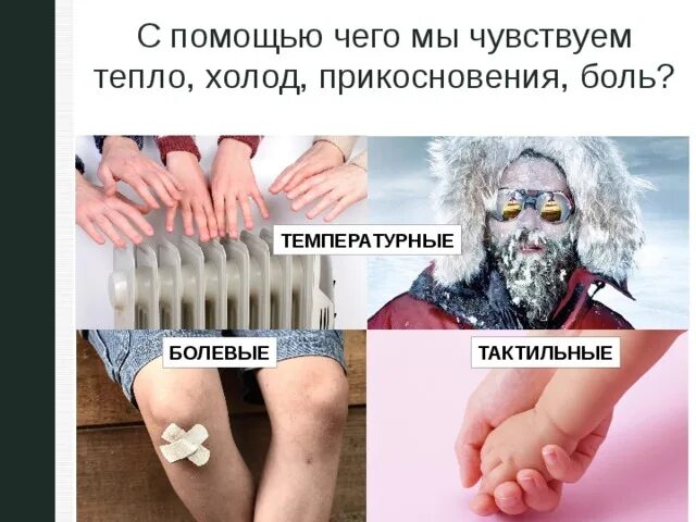 Ощущение тепла и холода. Ощущение кожей тепла. Чувствуется ощущение тепла. Болезненное ощущение холода и тепла. Ощущается как тепло