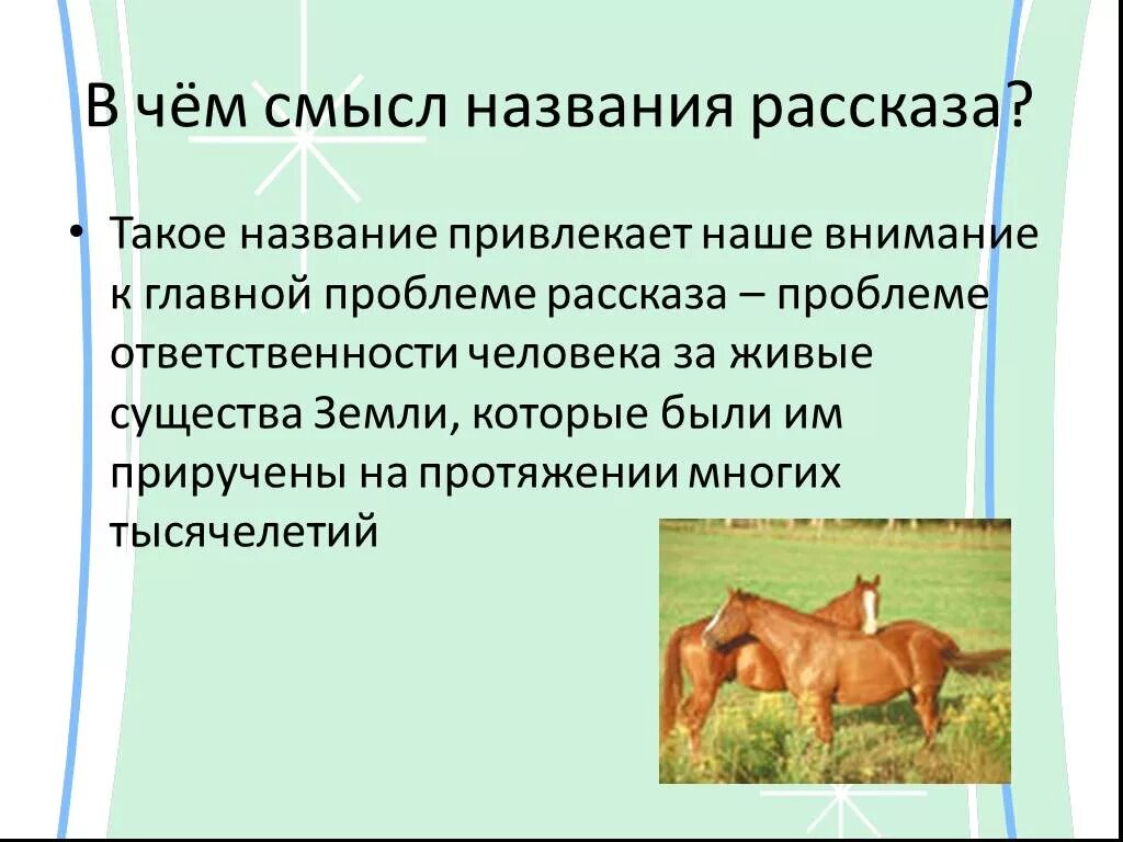 Главная мысль рассказа о чем плачут лошади. О чём плачут лошади. Ф. Абрамова "о чём плачут лошади". О чем плачут лошади: рассказы. О чём плачут лошади о чем.