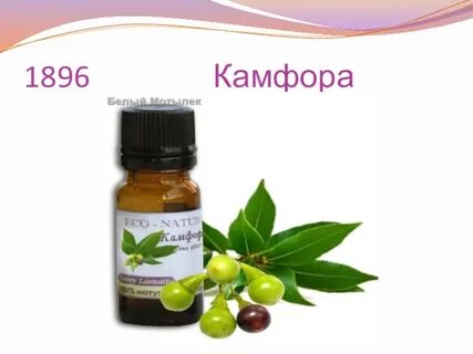 Камфорное масло для лица
