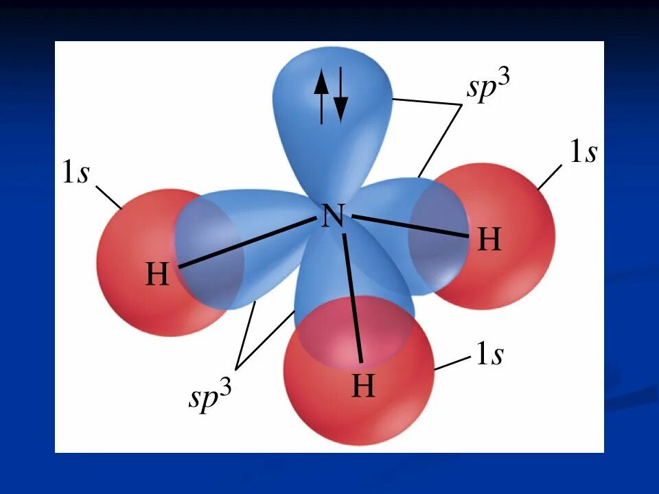 Sp3 гибридизация молекулы аммиака. Sp3 гибридизация аммиака. Nh3 строение молекулы. Тип гибридизации аммиака. Метан водород аммиак вода