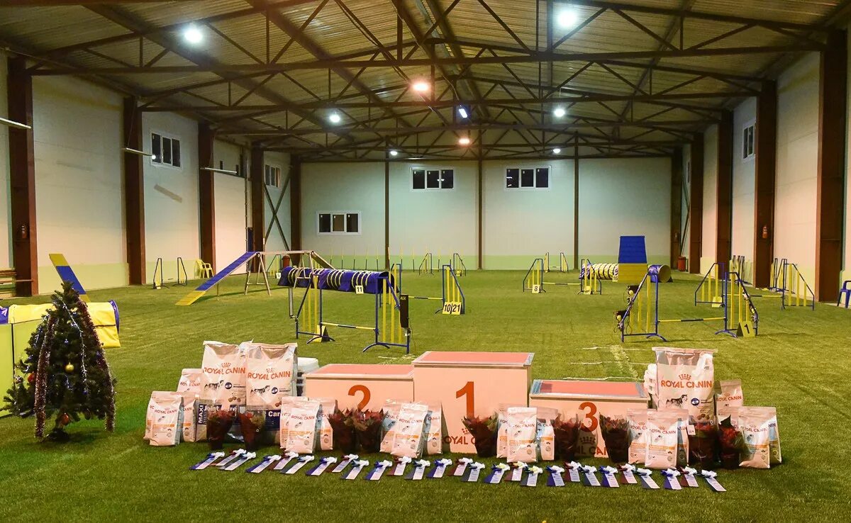 Dogs hall. Дог холл мурино. догс холл манеж. догс холл санкт-петербург. dog hall новосибирск.