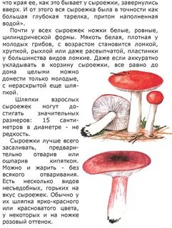 Текст сыроежка 3 класс