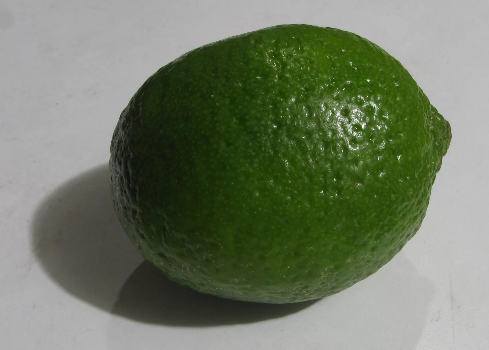 Маленький зеленый фрукт. Зеленый цитрус. Зеленый цитрусовый фрукт. Цитрусовый фрукт зеленого цвета.