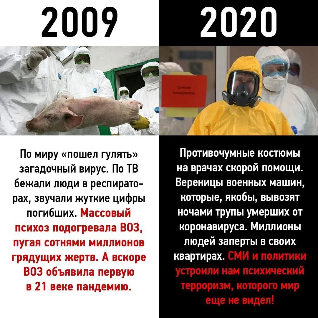 Пандемия свиного гриппа в 2009 году.